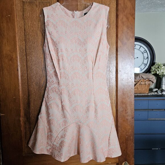 Windsor JR Women’s Light Pink Floral Lace Sleeveless Ruffle-Hem Dress Size Large - Picture 1 of 8
